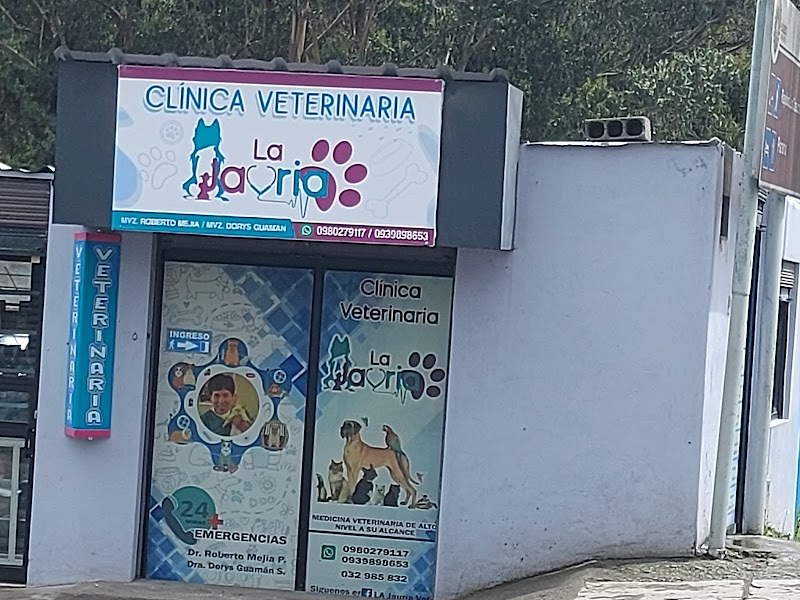 Foto de VETERINARIA LA JAURIA 2